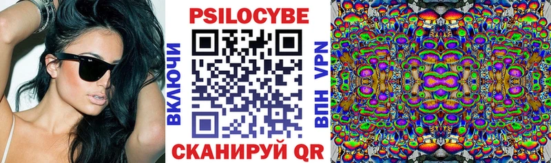 Псилоцибиновые грибы GOLDEN TEACHER  darknet клад  Щигры 